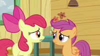 Apple Bloom with Scootaloo S2E23