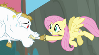 Bulk Biceps passes baton to Fluttershy S4E10