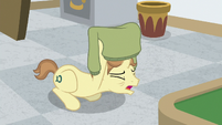 Destitute Pony sells the shirt off his back S8E16