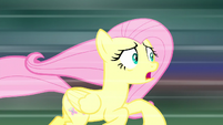 Fluttershy "kennel cough in its third" S8E18
