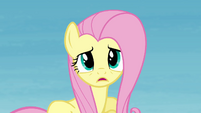 Fluttershy 'I don't want to take it if you're not super sure' S4E10