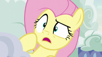 Fluttershy aghast at what she sees S6E11