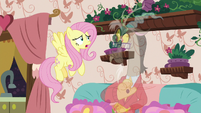 Fluttershy tells Discord to stop being normal S7E12