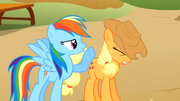 Rainbow Dash and Applejack competing S1E13