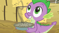 Spike excited to show Rarity his pie.
