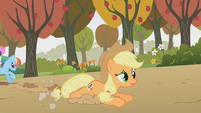 Applejack on the ground after tripping S1E13