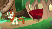 Autumn Blaze leaves her couch behind S8E23