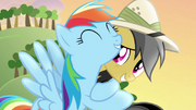 Daring Do embarrassed S4E04