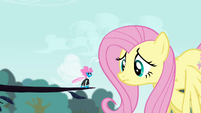 Fluttershy and grateful Seabreeze S4E16