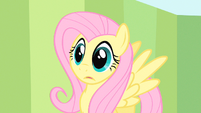 Fluttershy processing S1E20