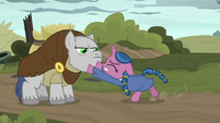 Hypnotized filly fighting with hunchbacked pony S7E26