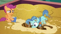 Petunia Paleo vigorously digging through the sand S6E19.png (1.06 MB)