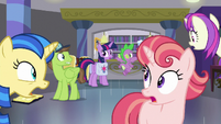 Ponies in library all gasp at Twilight S9E5