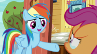 Rainbow "you're the Cutie Mark Crusaders" S9E12