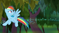 Rainbow dodging the swamp geysers S8E17