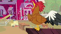 Rooster crows on Confluence's third day S9E10