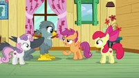 Scootaloo "being good at something" S6E19.png (905 KB)