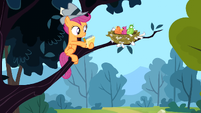 Scootaloo and birds S2E23