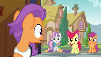 Tender Taps looking at Cutie Mark Crusaders S6E4