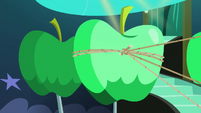 A big green fake apple pulled by a rope S5E24