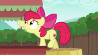 Apple Bloom trying to remove a cart fringe S6E14