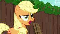 Applejack "tradition is all that counts!" S6E14