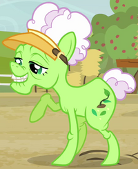 Auntie Applesauce | My Little Pony Friendship is Magic Wiki | Fandom