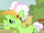 Auntie Applesauce