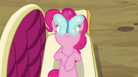 A butterfly on Pinkie's nose.