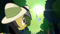 Daring Do sees Rainbow fly off S4E04