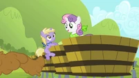 Dinky Hooves derping.