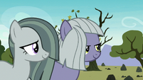 Limestone and Marble smiling at Pinkie S8E3