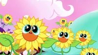 Hey, look! It's Sunny the singing Sunflower!