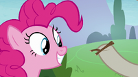 Pinkie Pie looking at Twiggy S8E3
