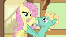 Warunek Fluttershy: Możesz u mnie zostać, ale musisz znaleźć sobie pracę