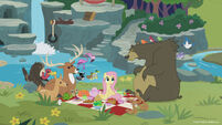 Season 8 promo image - Fluttershy having a sanctuary picnic