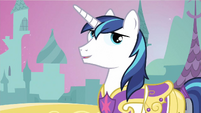 Shining Armor you tell me S2E25