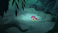 "Sweetie Belle! Scootaloo! Come on, fillies, this isn't funny!"