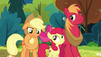 Applejack "I haven't seen him in ages" S7E13