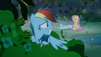 Feather Flatterfly faints next to Fluttershy S9E17