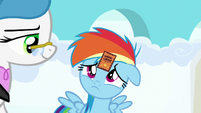 Filly Rainbow Dash wearing a participation sticker S7E7