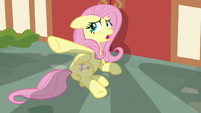 Fluttershy "just leave me alone!" S7E14