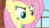 Fluttershy uses "The Stare".
