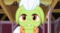 Granny Smith "Guh?" S3E08