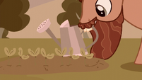 Grub Hooffield watches the plants grow S5E23