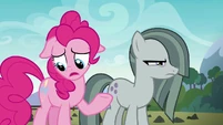"Maud has a boyfriend."