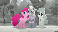 Pinkie and Hoofingtons observe Fluttershy MLPRR