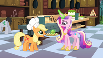 Princess Cadance checking on the catering S02E25