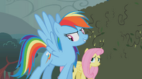 Rainbow Dash -these babies- S02E01