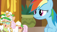 Rainbow Dash looking a little grossed out S8E5